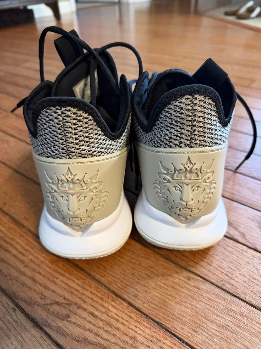 LeBron James (King James) shoes.